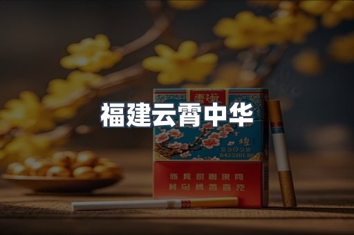 福建云霄中华